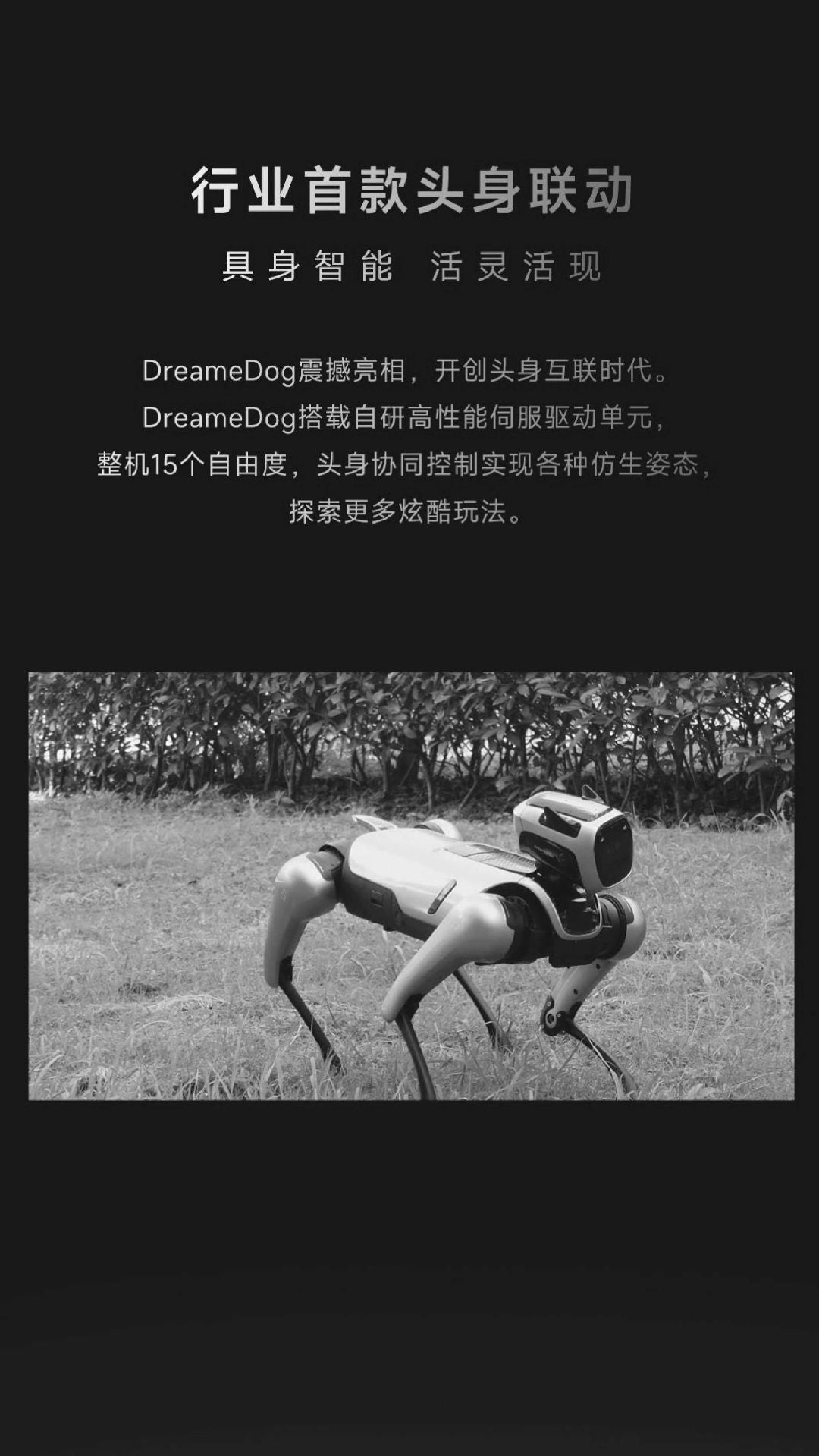 New ROS Robot Quadruped Mechanical Dog AI Visual Recognition Bionic Programming slam Entertainment Human Body Recognition